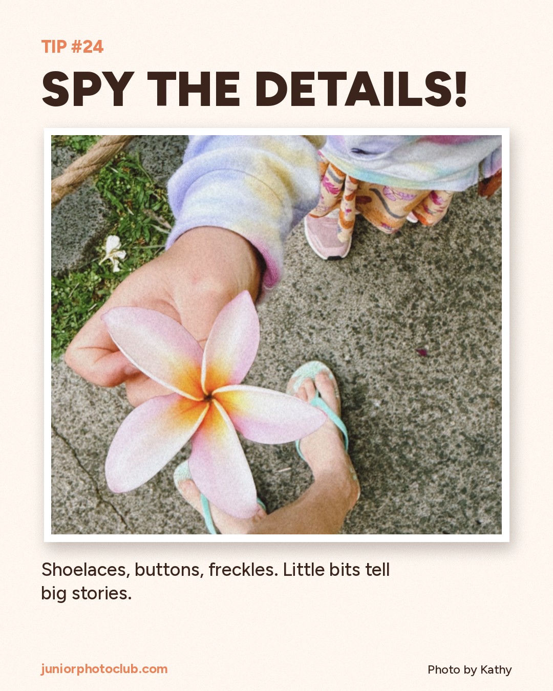 Photo tip 24: Spy the details