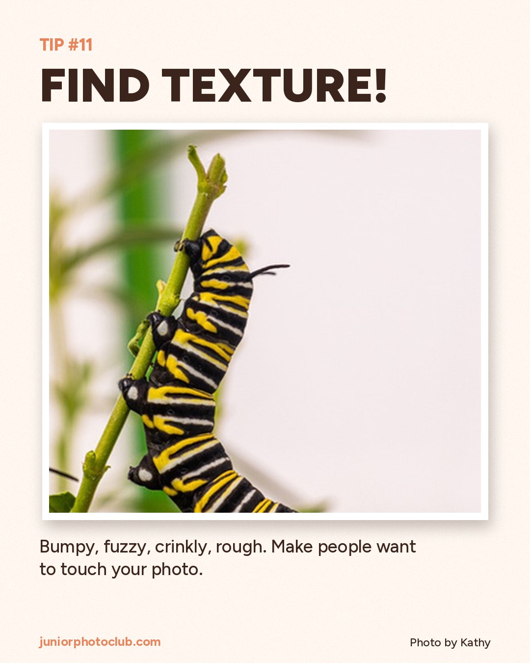 Photo tip 11: Find texture
