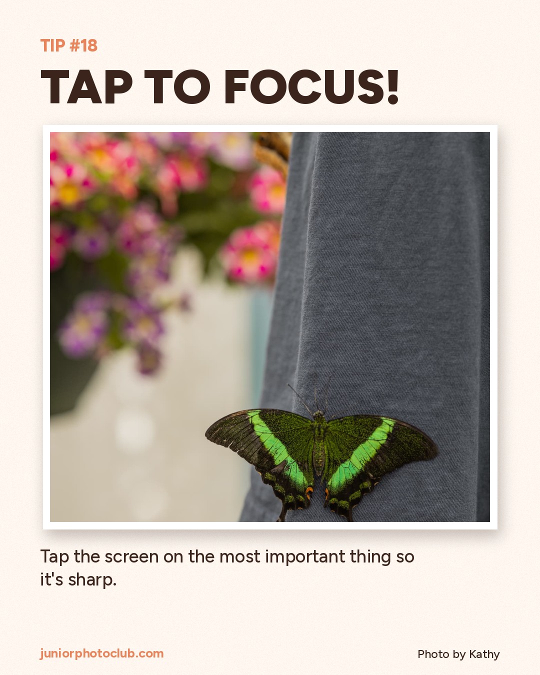 Photo tip 18: Tap to focus