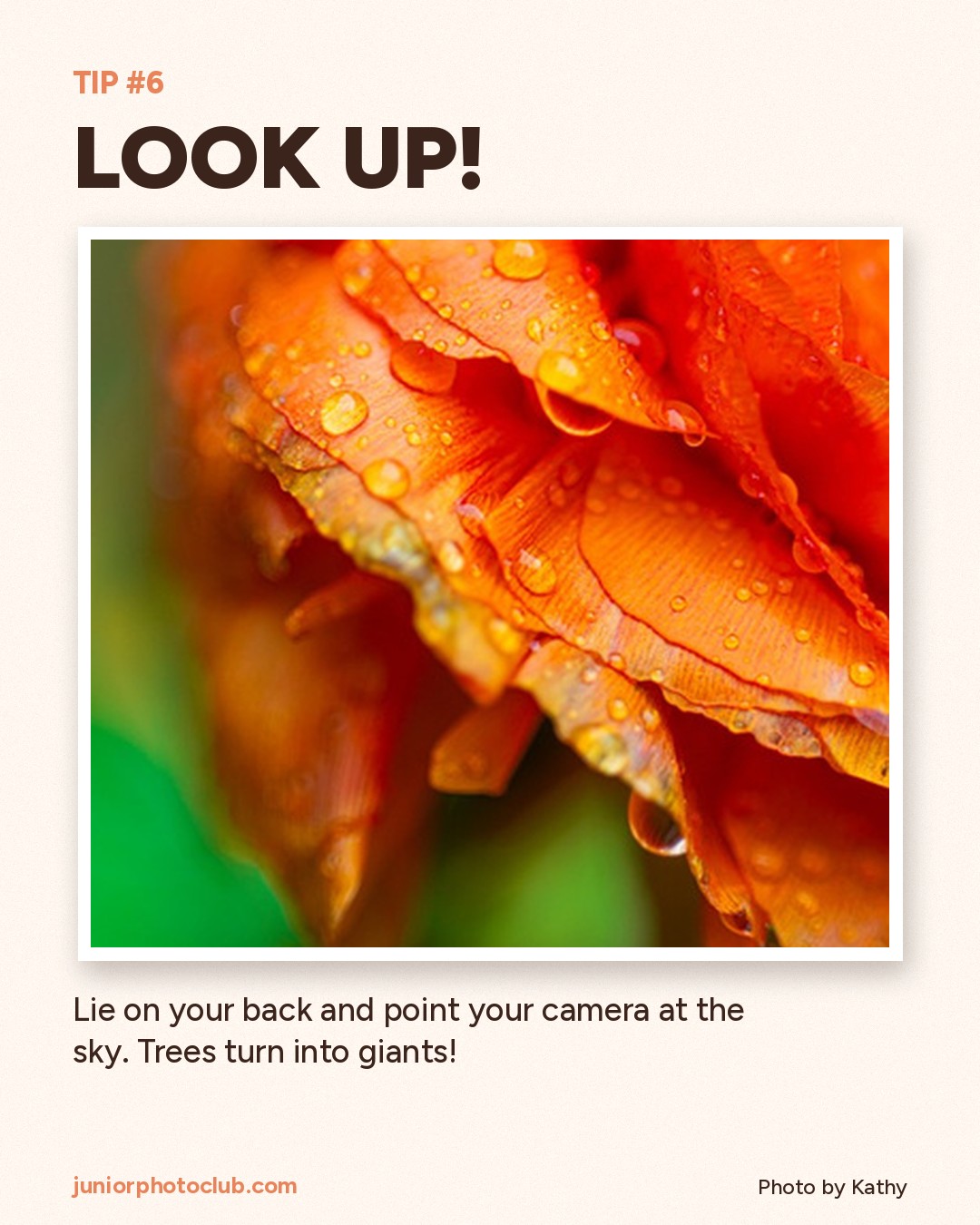 Photo tip 6: Look up