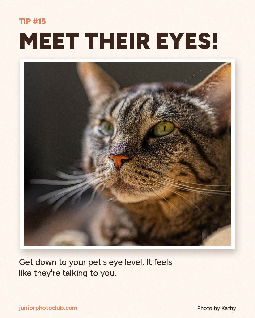 Photo tip 15: Meet their eyes