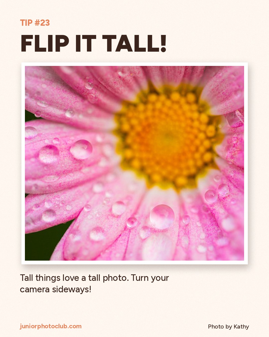 Photo tip 23: Flip it tall