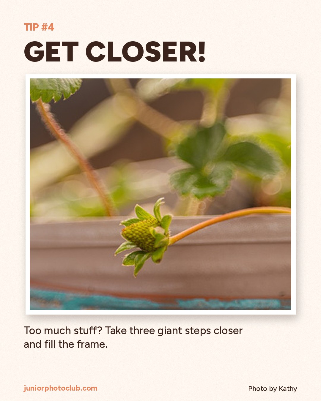 Photo tip 4: Get closer