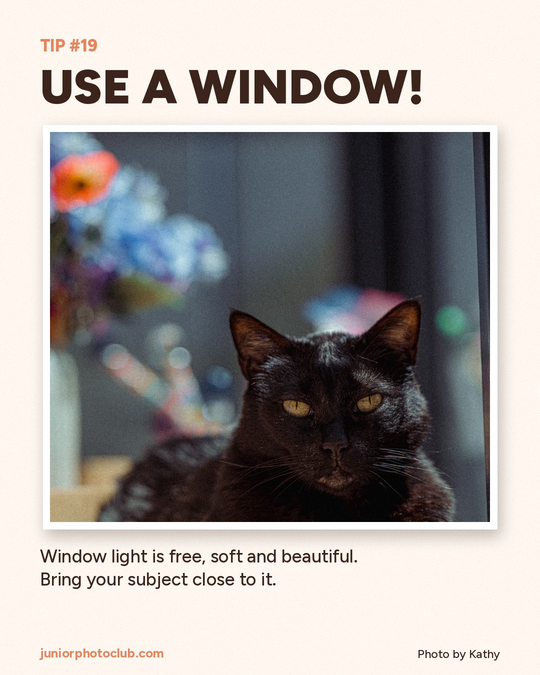 Photo tip 19: Use a window